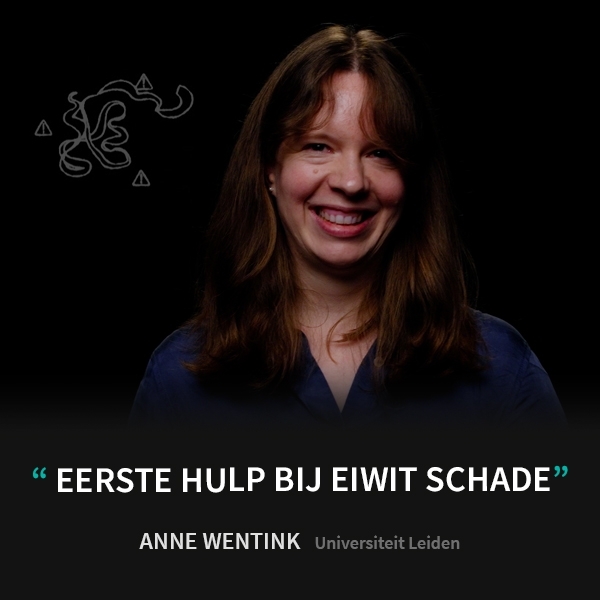 Anne Wentink - Eerste hulp bij eiwit schade - Eye-openers
