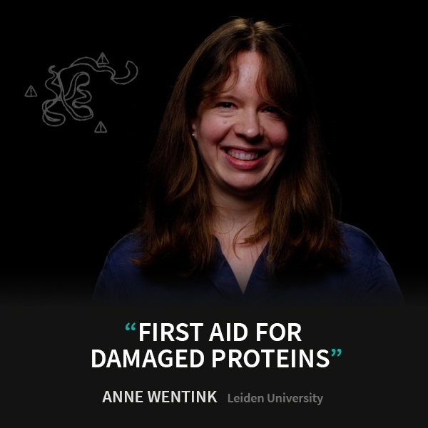 Anne Wentink - First aid for damaged proteins - Eye-openers