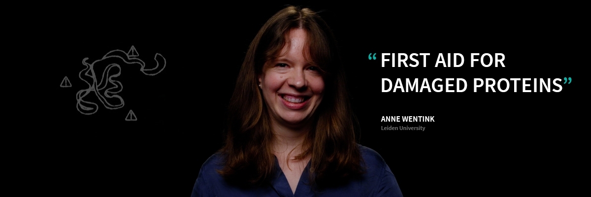 Anne Wentink - First aid for damaged proteins - Eye-openers